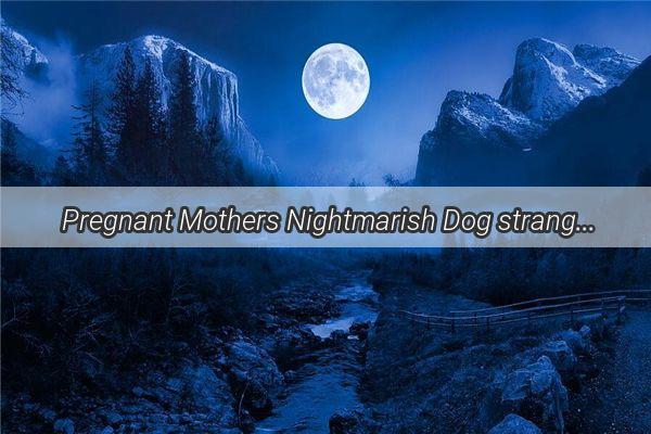 Pregnant Mothers Nightmarish Dog strangulation Dream A Glimpse into the Subconscious